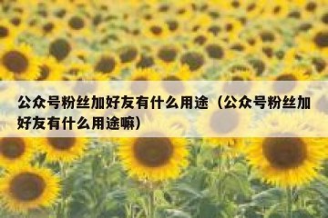 公众号粉丝加好友有什么用途（公众号粉丝加好友有什么用途嘛）