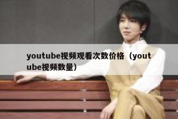 youtube视频观看次数价格（youtube视频数量）