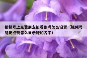 视频号上点赞朋友能看到吗怎么设置（视频号朋友点赞怎么显示她的名字）