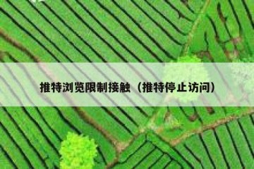 推特浏览限制接触（推特停止访问）