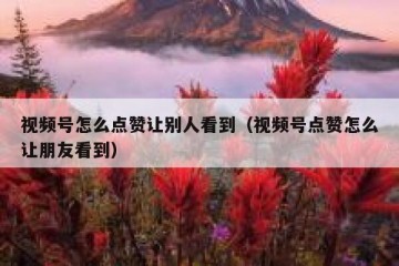 视频号怎么点赞让别人看到（视频号点赞怎么让朋友看到）