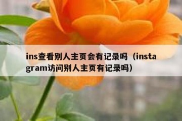 ins查看别人主页会有记录吗（instagram访问别人主页有记录吗）
