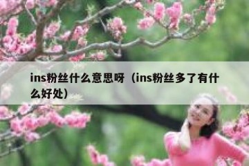 ins粉丝什么意思呀（ins粉丝多了有什么好处）