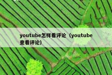 youtube怎样看评论（youtube查看评论）