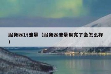服务器1t流量（服务器流量用完了会怎么样）