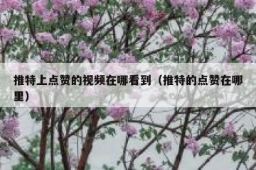 推特上点赞的视频在哪看到（推特的点赞在哪里）