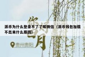 派币为什么登录不了了呢微信（派币钱包加载不出来什么原因）