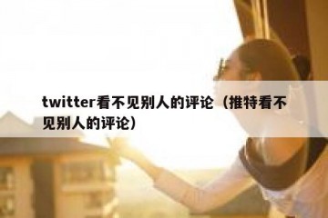 twitter看不见别人的评论（推特看不见别人的评论）