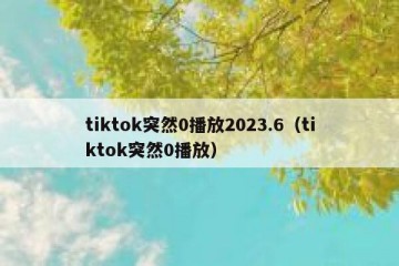 tiktok突然0播放2023.6（tiktok突然0播放）
