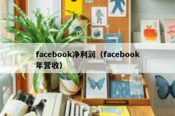facebook净利润（facebook年营收）