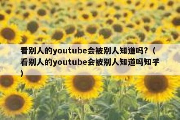 看别人的youtube会被别人知道吗?（看别人的youtube会被别人知道吗知乎）