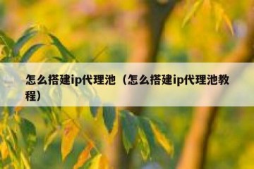 怎么搭建ip代理池（怎么搭建ip代理池教程）
