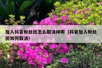 加入抖音粉丝团怎么取消掉呢（抖音加入粉丝团如何取消）