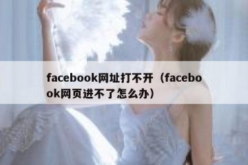 facebook网址打不开（facebook网页进不了怎么办）