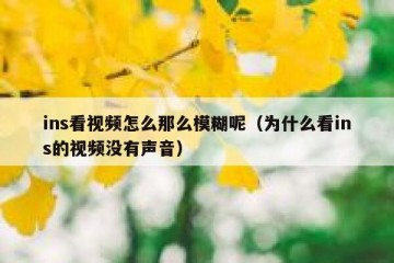 ins看视频怎么那么模糊呢（为什么看ins的视频没有声音）