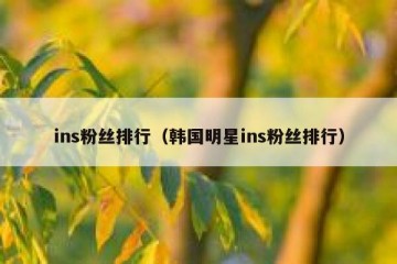 ins粉丝排行（韩国明星ins粉丝排行）