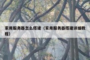 家用服务器怎么搭建（家用服务器搭建详细教程）