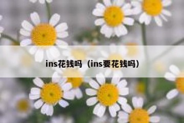 ins花钱吗（ins要花钱吗）