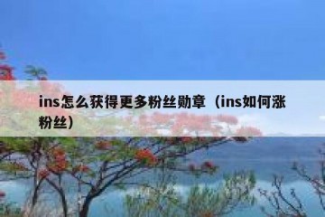 ins怎么获得更多粉丝勋章（ins如何涨粉丝）