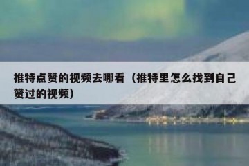 推特点赞的视频去哪看（推特里怎么找到自己赞过的视频）