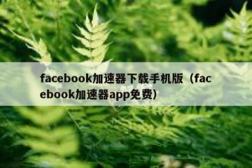 facebook加速器下载手机版（facebook加速器app免费）