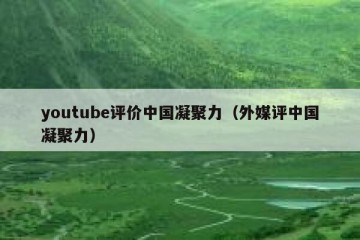 youtube评价中国凝聚力（外媒评中国凝聚力）