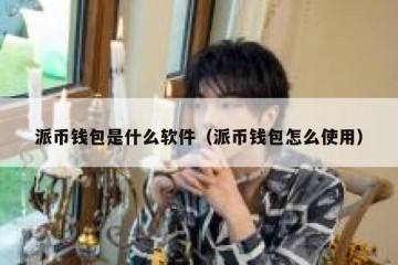 派币钱包是什么软件（派币钱包怎么使用）