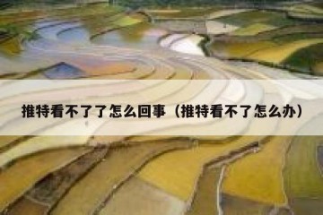 推特看不了了怎么回事（推特看不了怎么办）