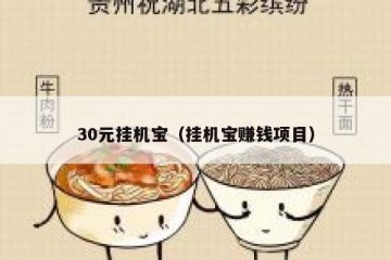 30元挂机宝（挂机宝赚钱项目）