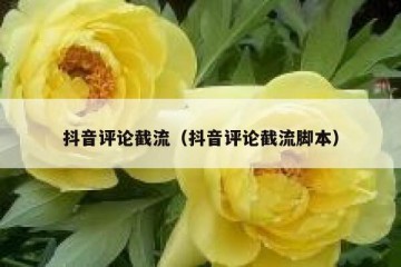 抖音评论截流（抖音评论截流脚本）