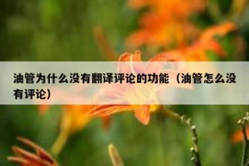 油管为什么没有翻译评论的功能（油管怎么没有评论）