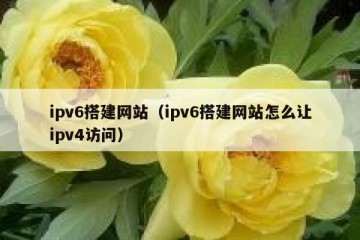ipv6搭建网站（ipv6搭建网站怎么让ipv4访问）