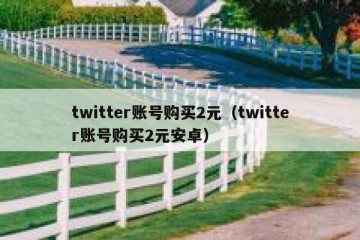 twitter账号购买2元（twitter账号购买2元安卓）