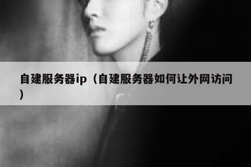 自建服务器ip（自建服务器如何让外网访问）