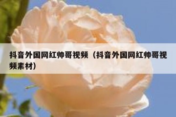 抖音外国网红帅哥视频（抖音外国网红帅哥视频素材）