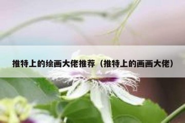 推特上的绘画大佬推荐（推特上的画画大佬）