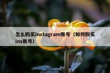 怎么购买instagram账号（如何购买ins账号）