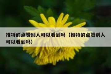 推特的点赞别人可以看到吗（推特的点赞别人可以看到吗）