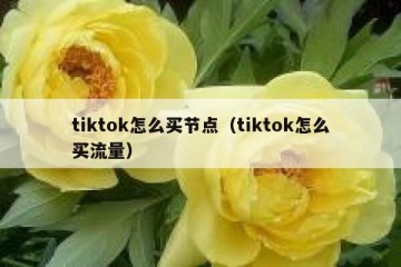tiktok怎么买节点（tiktok怎么买流量）