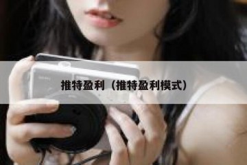 推特盈利（推特盈利模式）