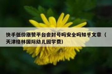 快手低价涨赞平台会封号吗安全吗知乎文章（天津格林国际幼儿园学费）