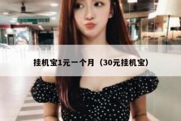 挂机宝1元一个月（30元挂机宝）