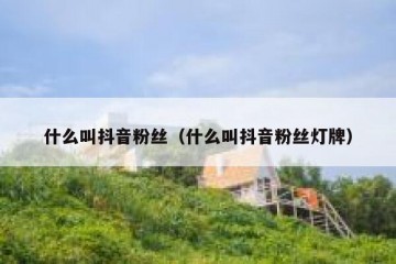 什么叫抖音粉丝（什么叫抖音粉丝灯牌）