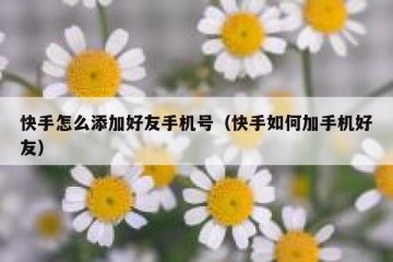 快手怎么添加好友手机号（快手如何加手机好友）