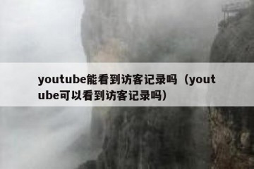youtube能看到访客记录吗（youtube可以看到访客记录吗）