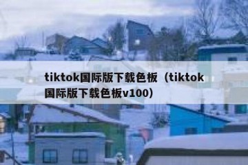 tiktok国际版下载色板（tiktok国际版下载色板v100）
