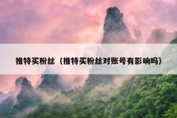 推特买粉丝（推特买粉丝对账号有影响吗）