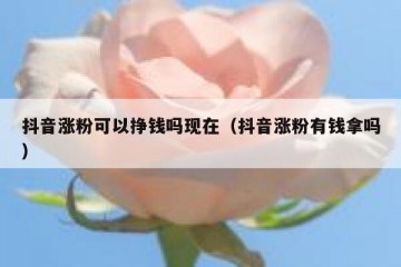 抖音涨粉可以挣钱吗现在（抖音涨粉有钱拿吗）
