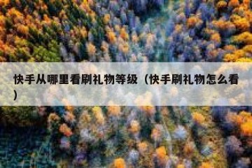 快手从哪里看刷礼物等级（快手刷礼物怎么看）