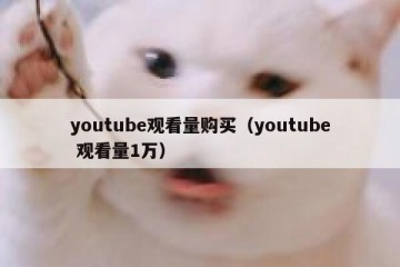 youtube观看量购买（youtube 观看量1万）